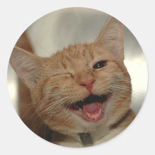 Winking Happy Ginger Cat Classic Round Sticker