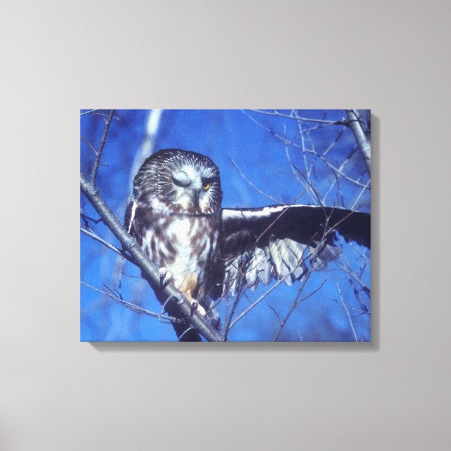 Winking owl canvas print (Front)