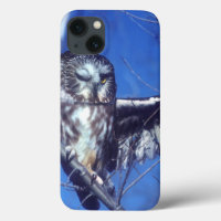 Winking owl