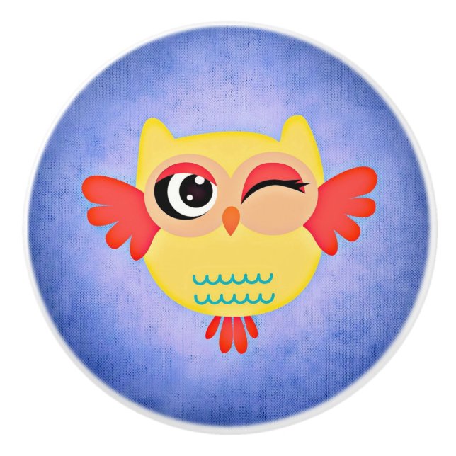 Winking Owl Ceramic Knob (Front)