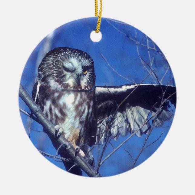 Winking owl ceramic ornament (Front)