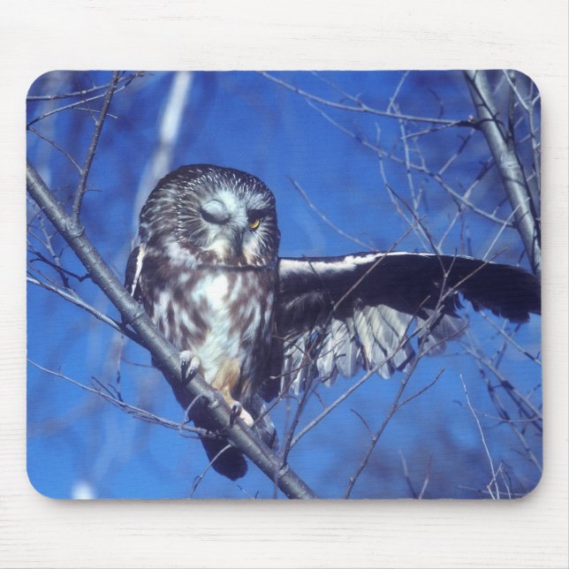 Winking owl mouse pad (Front)