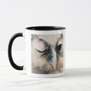Winking Owl Mug
