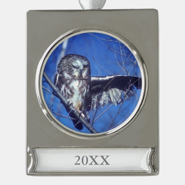 Winking owl silver plated banner ornament (Front)