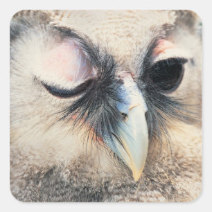 Winking Owl Square Sticker