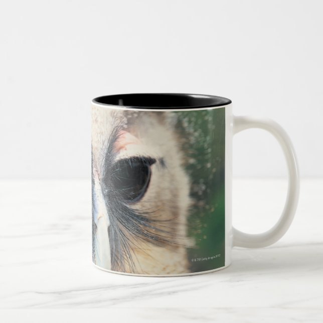 Winking Owl Two-Tone Coffee Mug (Right)