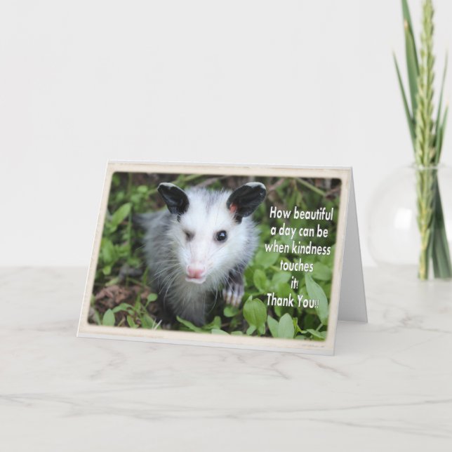 Winking possum thank you card. (Front)