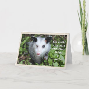 Winking possum thank you card. card