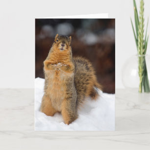 Winking Squirrel Card