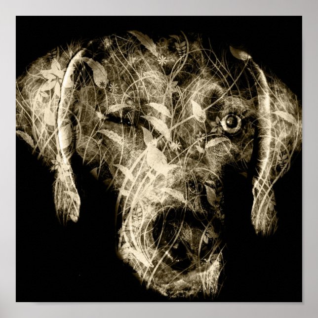 winking weimaraner poster (Front)