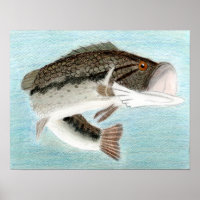 Winning art by D. Gillett - Grade 9