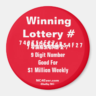 Winning Lottery Number Magnet