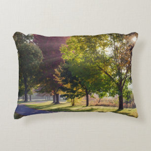 Winona Lake Path Pillow