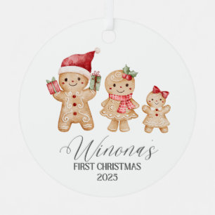 Winona Personalized Baby's First Christmas Metal Tree Decoration
