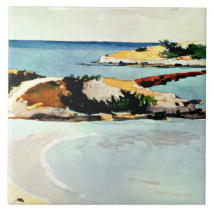 Winslow Homer - Gallows Island Ceramic Tile