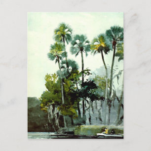 Winslow Homer - Homosassa River Postcard
