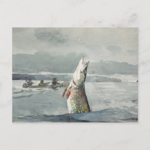 Winslow Homer - Pike, Lake St. John Postcard