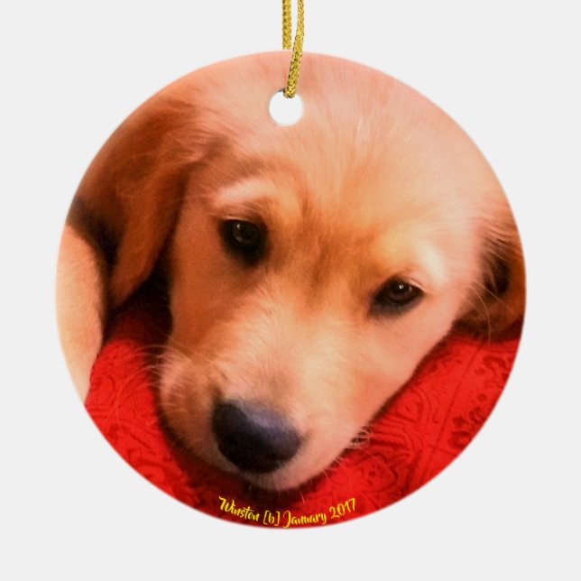 Winston Christmas Ornament (Front)
