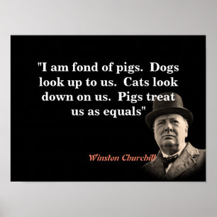 Winston Churchill Quote On Pigs Poster