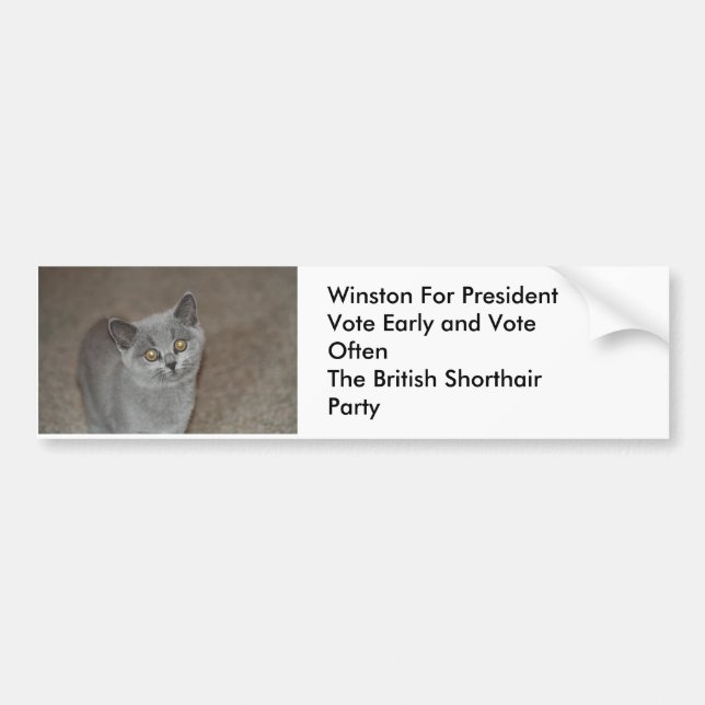 Winston for President Bumper Sticker (Front)