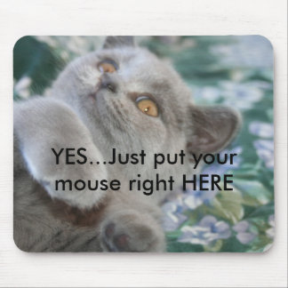Winston the Cat Mousepad