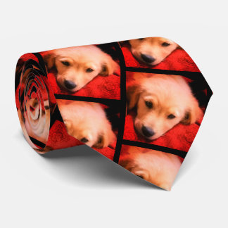 Winston the Golden, Holiday Tie
