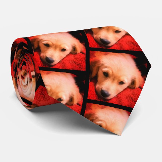 Winston the Golden, Holiday Tie (Rolled)