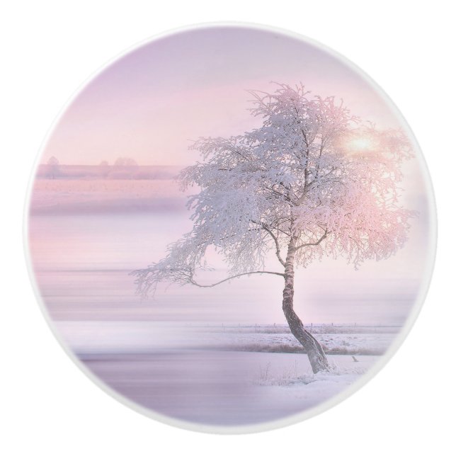 Winter 05 ceramic knob (Front)