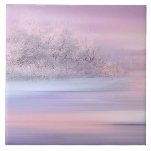 Winter 06 ceramic tile