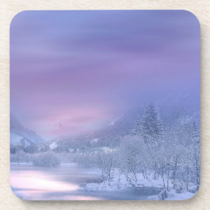 Winter 08 coaster