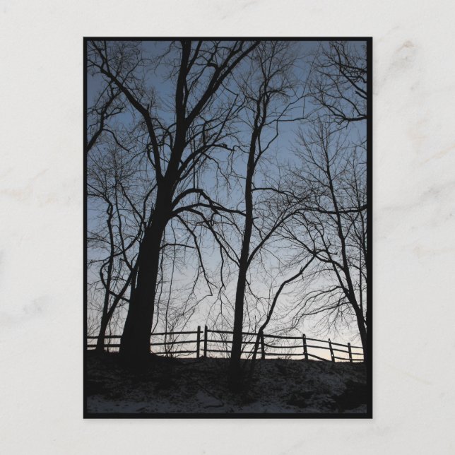 ~ Winter 15 ~ Postcard (Front)