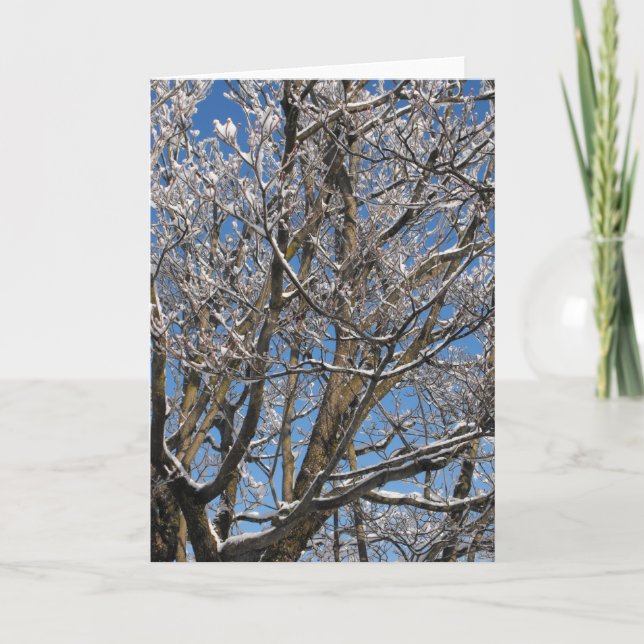 Winter ~ 26 holiday card (Front)