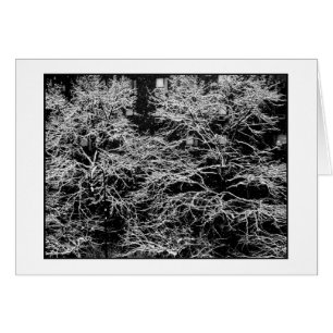 'Winter Abstract' Holiday Card - Christmas
