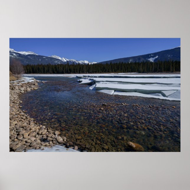 Winter Along the Athabasca River Poster (Front)