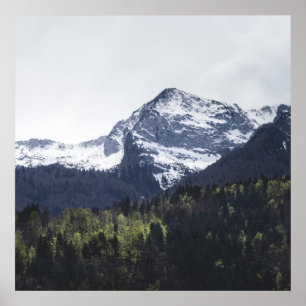 Winter and Spring - green trees and snowy mountain Poster