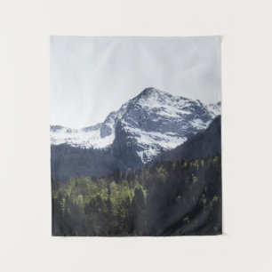 Winter and Spring - green trees and snowy mountain Tapestry