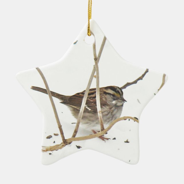 Winter and the Sparrow Ceramic Ornament (Front)