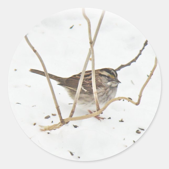 Winter and the Sparrow Classic Round Sticker (Front)