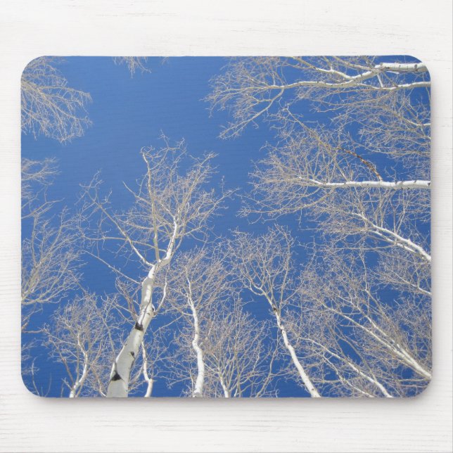 Winter Aspen Trees Mouse Pad (Front)