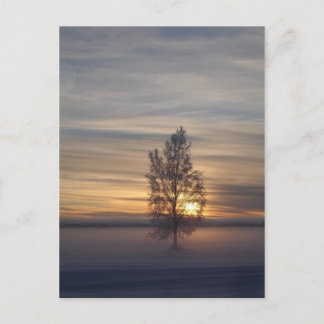 Winter at Ft. Wainwright Postcard