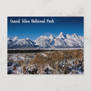 Winter at Grand Teton NP Postcard