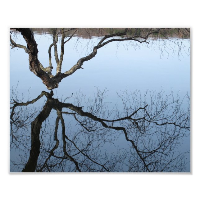 Winter at Jamaica Pond, 8x10 photo print (Front)