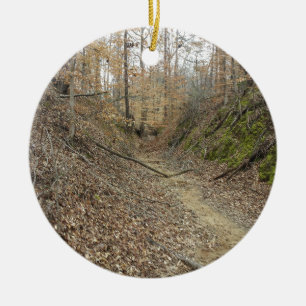 Winter at Sunken Trace Natchez Trace Parkway MS Ceramic Ornament