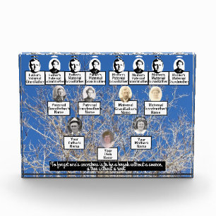 Winter Bare Branch Tree Photo Family Tree Quote