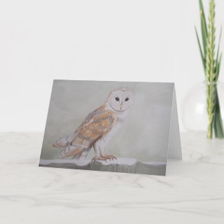 Winter Barn Owl Greetings Card