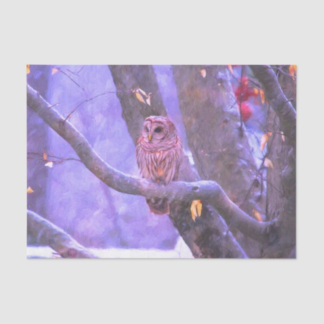 Winter Barn Owl Tissue Paper (Front)