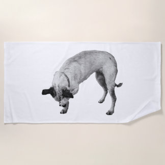 Winter Bashful Terrier Beach Towel