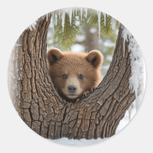 winter Bear cub Classic Round Sticker