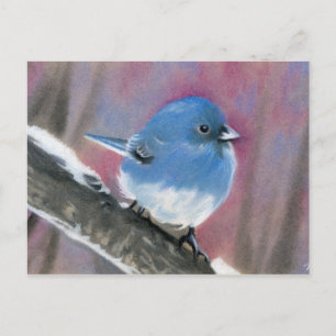 Winter beauty bird postcard