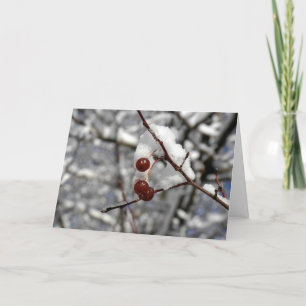 Winter Berries Holiday Card